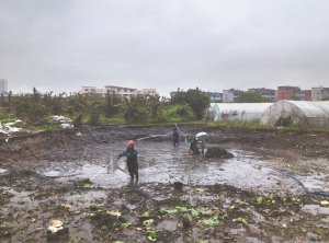 江都河道鱼塘清淤